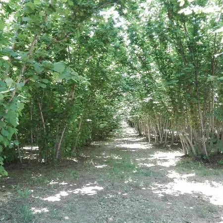 Feudo Magazzeni Etna Sant'Alfio