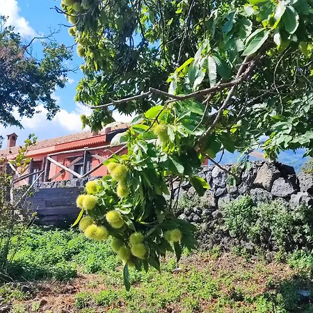 Feudo Magazzeni Etna Farm stay *