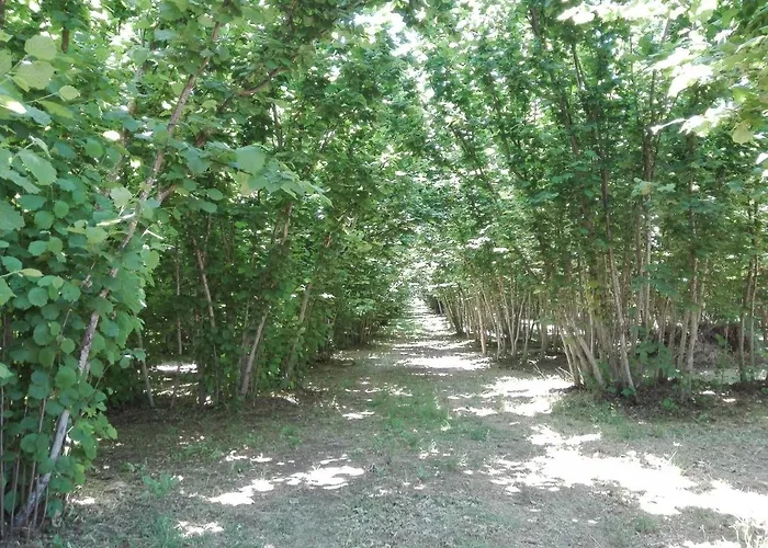 Feudo Magazzeni Etna SantʼAlfio